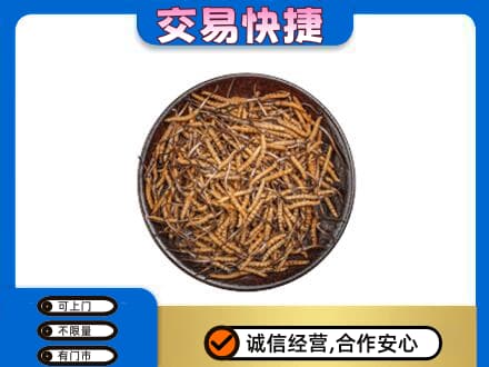株洲天元区高价回收散虫草